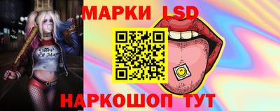 ПСИЛОЦИБИНОВЫЕ ГРИБЫ Кимры