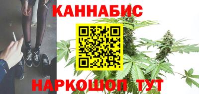 сатива Кинель