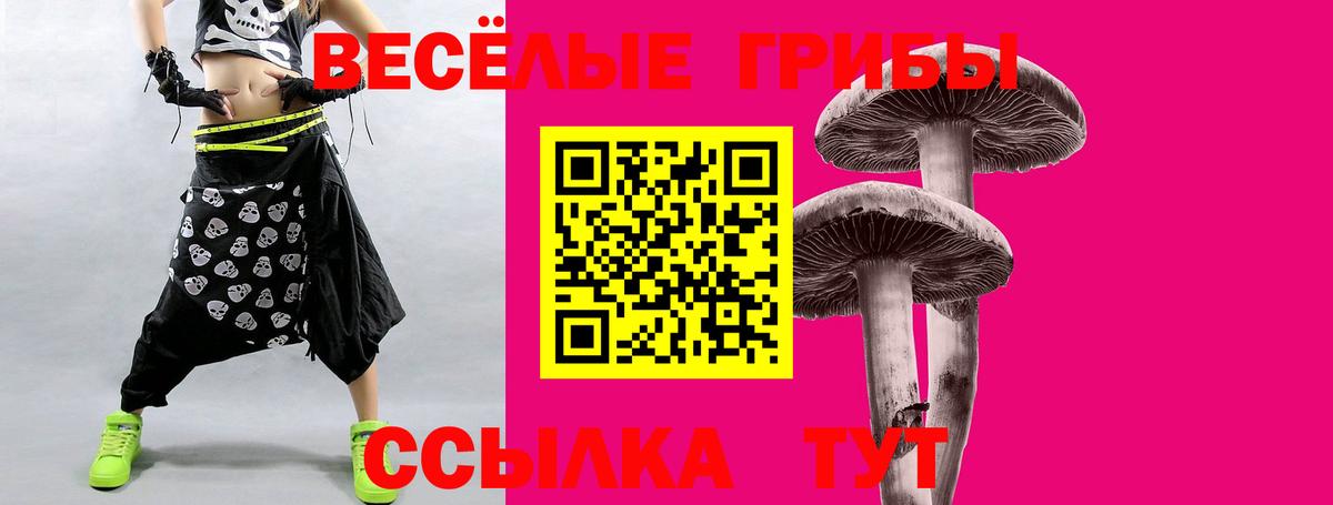 Псилоцибиновые грибы прущие грибы Красноярск