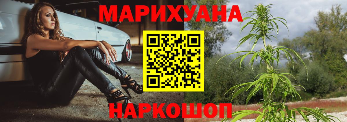 Канабис сатива Красноярск
